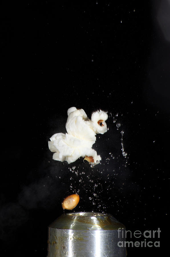 Popcorn Popping Photograph by Ted Kinsman