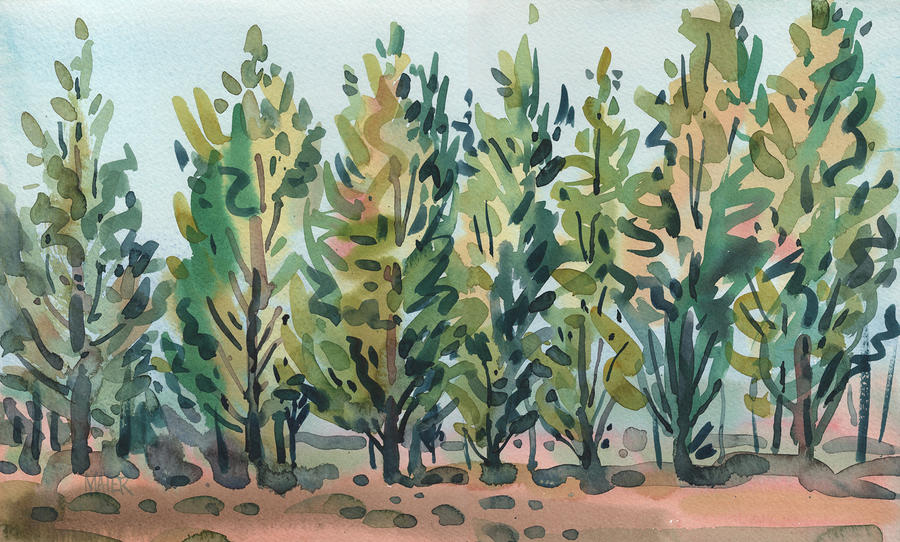 Poplar Trees Painting - Poplars by Donald Maier