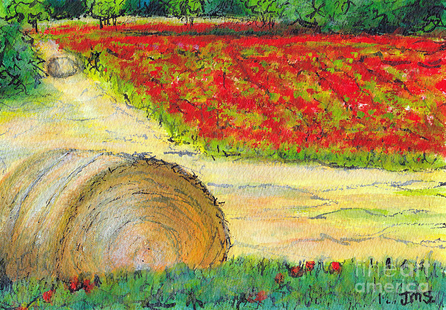 Poppies and Haybales The Lot France Painting by Jackie Sherwood