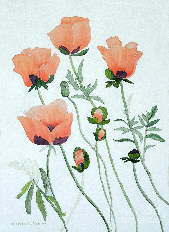 Poppies Painting by Barbara McMahon