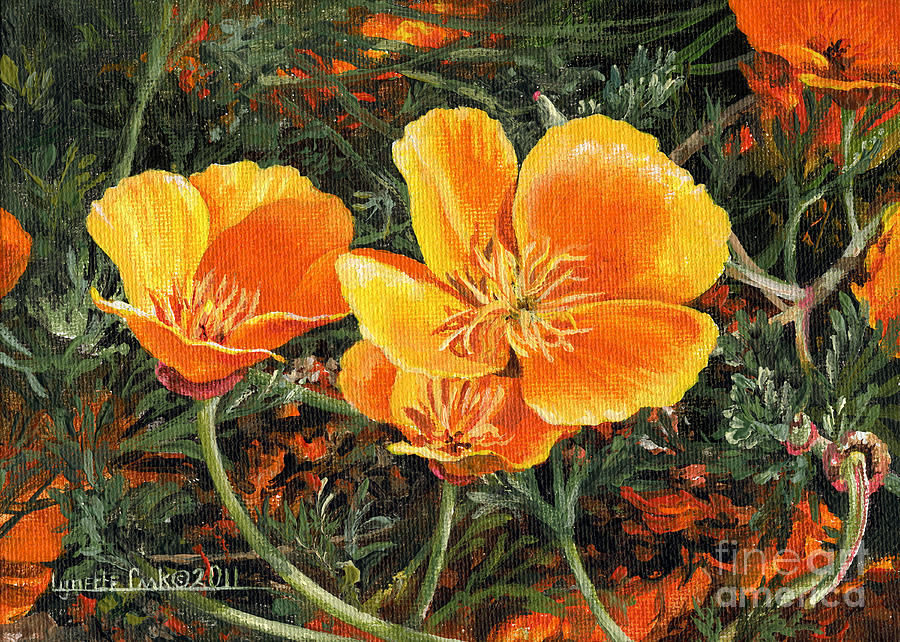 Poppy Power Painting by Lynette Cook