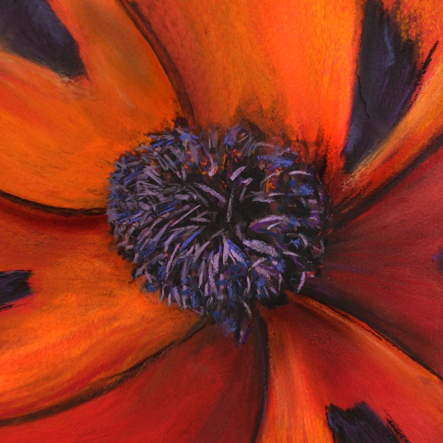 Poppy show Pastel by Hugh Williamson - Fine Art America