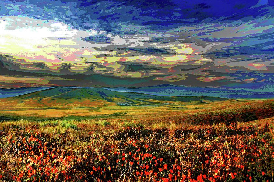 Poppys In California's High Desert Digital Art by Les Mayers