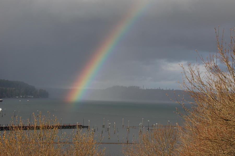 Rainbow Photograph - Port of Shelton Washington by Wanda Jesfield