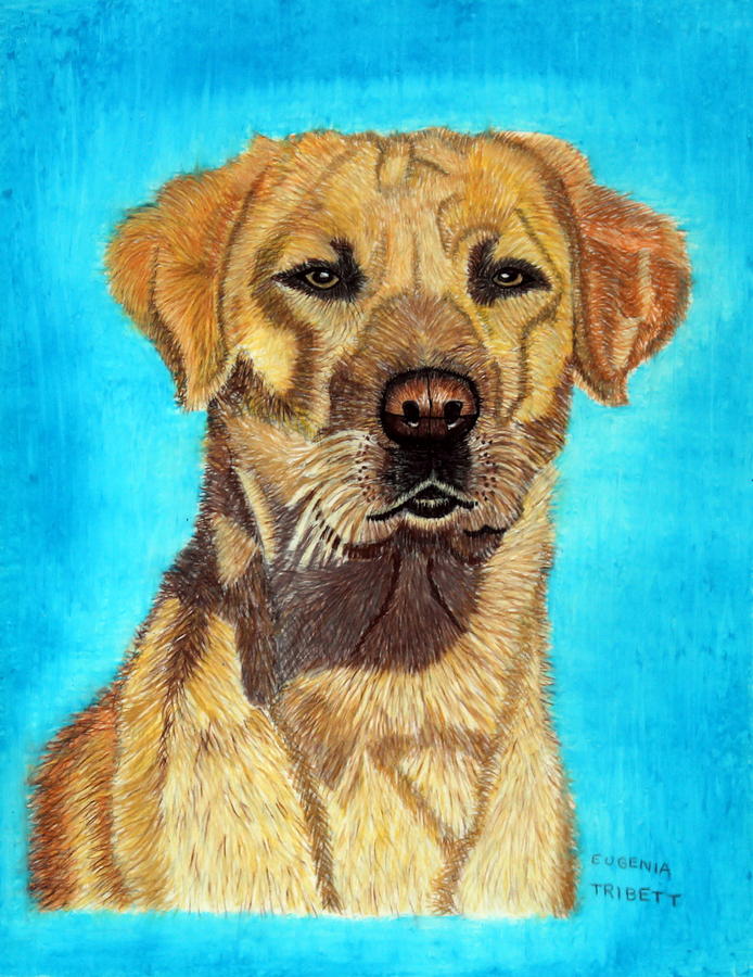 Portrait of a Golden Lab Painting by Eugenia Tribett - Fine Art America