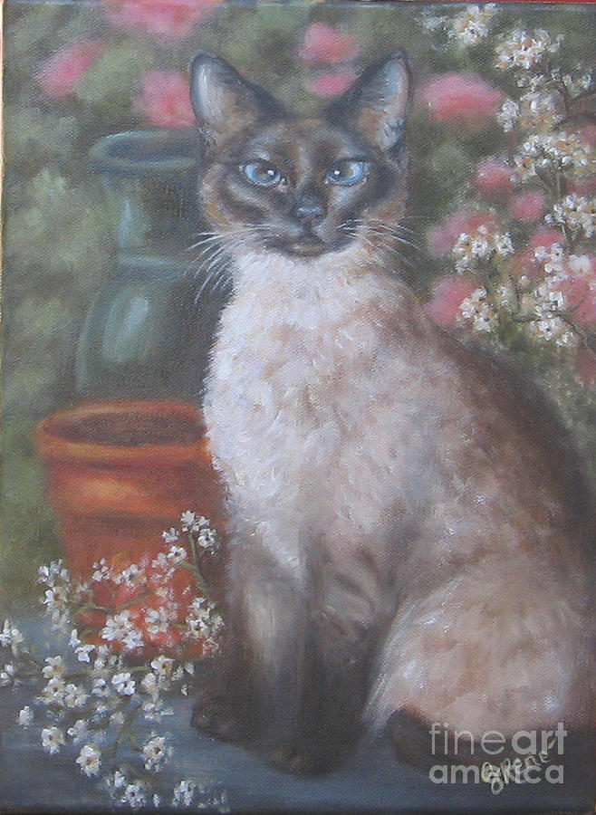 Cat Painting - Portrait of a Siamese Cat by Gayle Rene