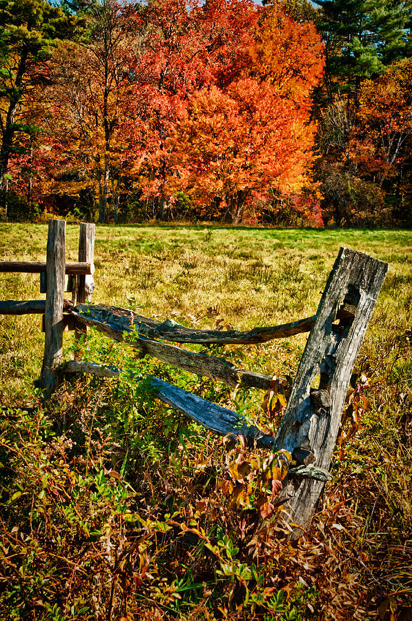 Post and Fence Photograph by Fred LeBlanc