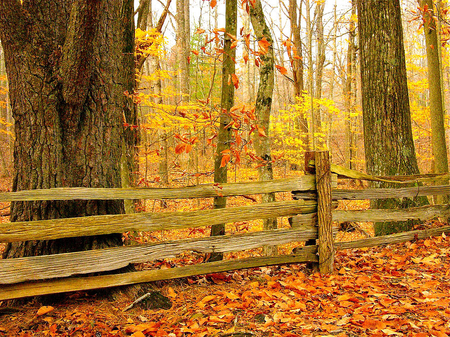 Fall Photograph - Post and Rail by Parrish Todd