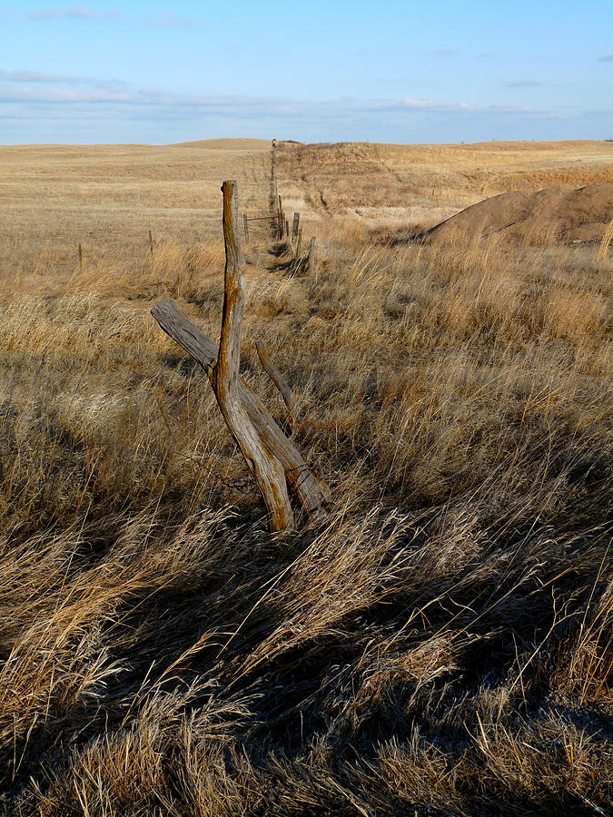 Post on the Prairie Photograph by Terry Eve Tanner