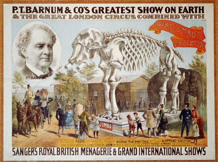 Poster For P.t. Barnum & Circus Photograph by Everett - Fine Art America