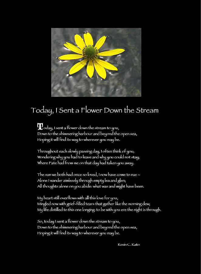 Daisy Photograph - Poster Poem - I Sent a Flower Down the Stream by Poetic Expressions