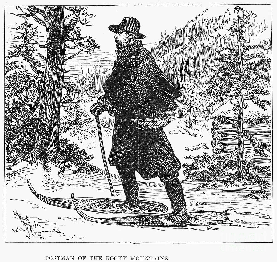 Postman, 1880 Photograph by Granger