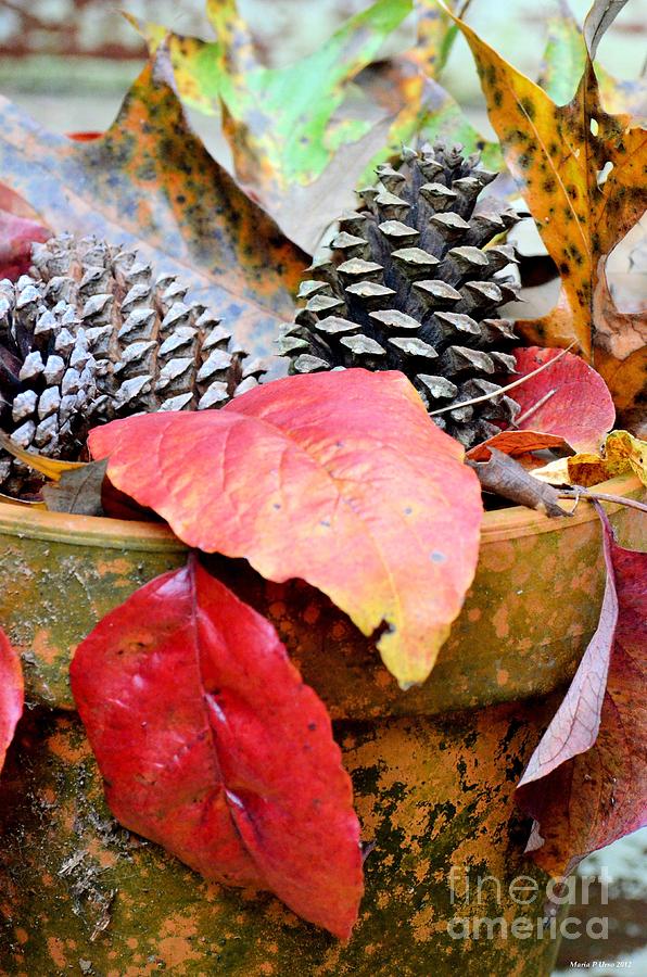 Pot Full of Autumn Photograph by Maria Urso