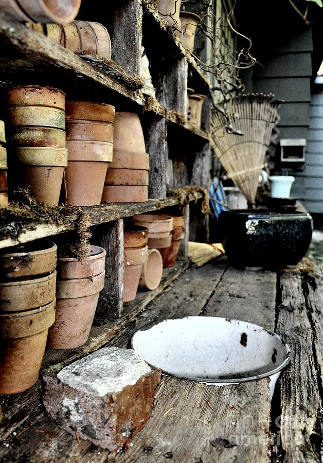 Potting Bench Photograph by Tatyana Searcy