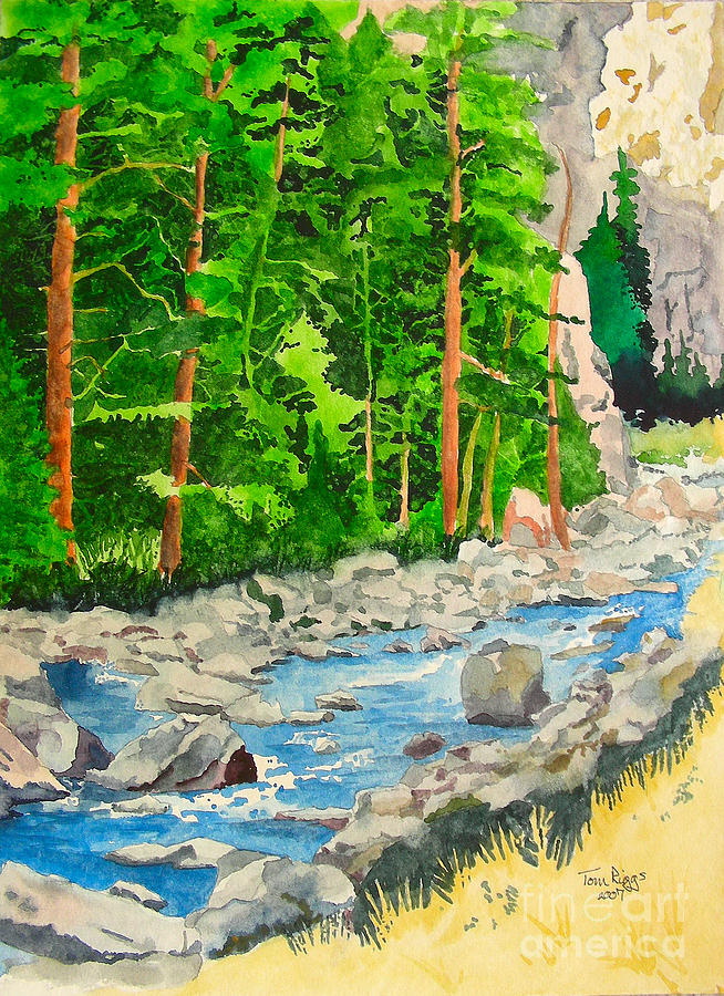 Poudre Canyon two Painting by Tom Riggs