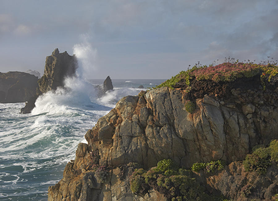 Pounding Waves And Rocky Shoreline Photograph by Tim Fitzharris