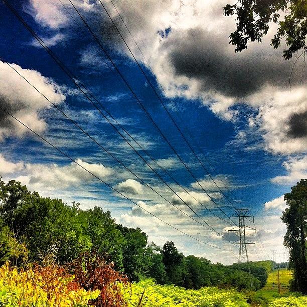 Power Lines Photograph by Scott Zager