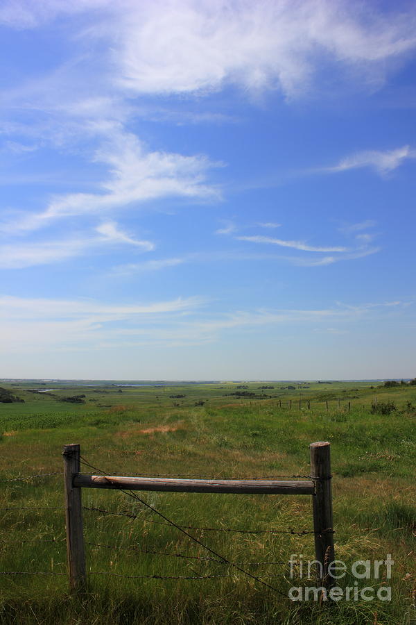 Prairie fence  Photograph by Jim Sauchyn