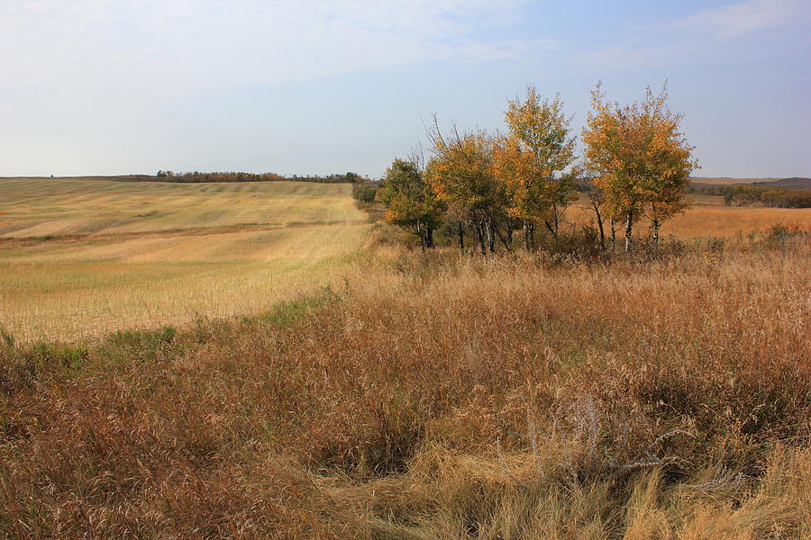 Farm Photograph - Prairie Fields in Autumn by Jim Sauchyn