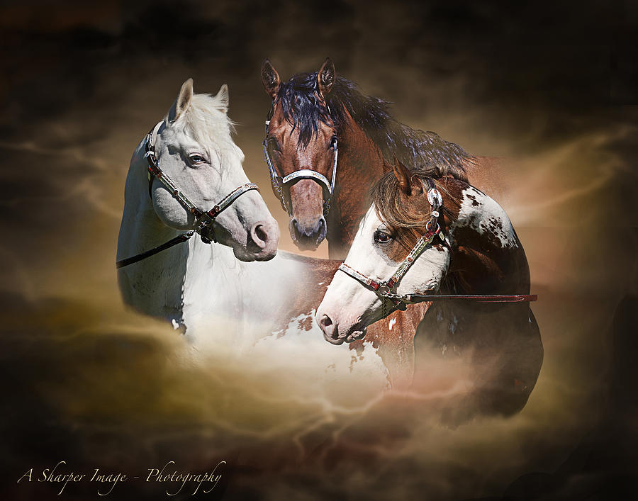 Horse Pyrography - Prairie Kings by Linda Finstad