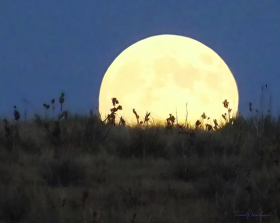 Nature Photograph - Prairie Moon by Terril Heilman