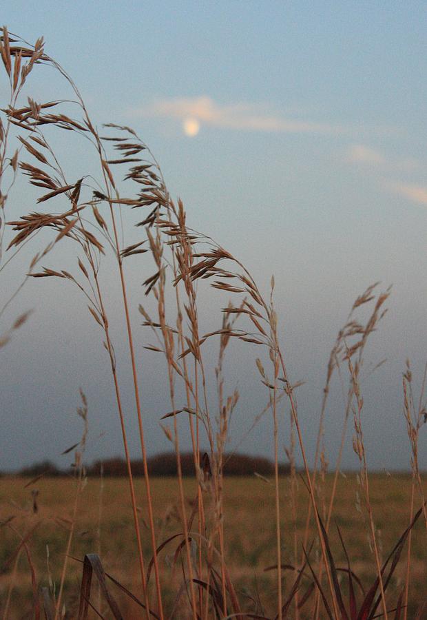 Prairie Moonrise Photograph by Ellery Russell