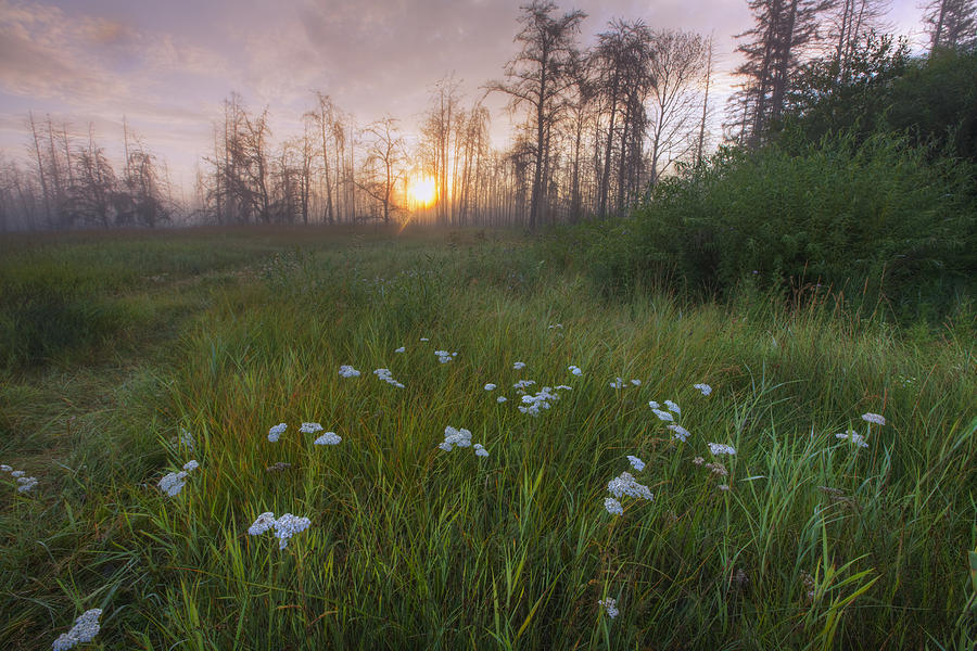 Landscape Photograph - Prairie Wildflowers On The Edge by Dan Jurak
