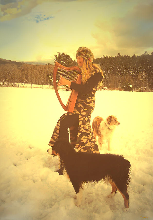 Praise Him With The Harp And All Ye Shepherd Dogs Photograph by Anastasia Savage Ealy