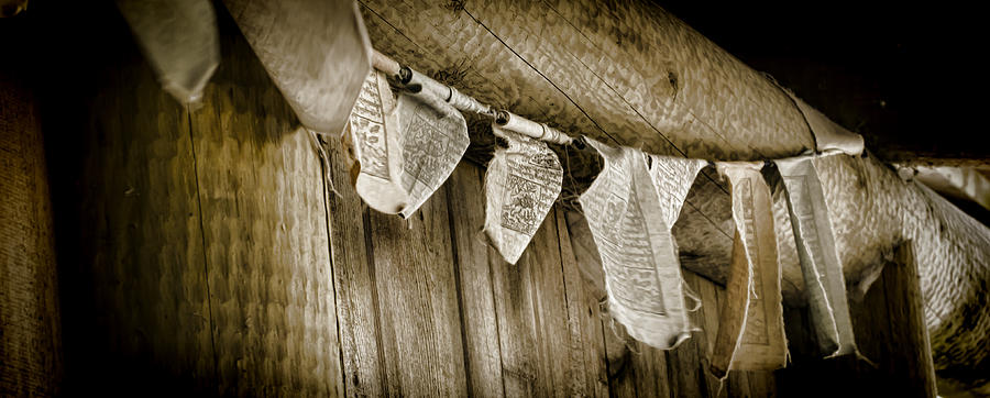Prayer Flags Photograph by Heather Applegate