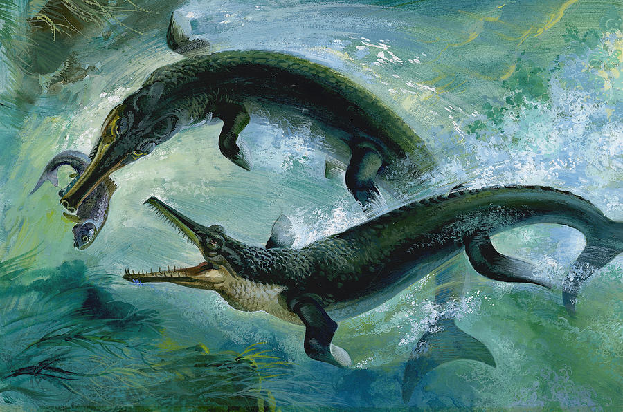 Animal Painting - Pre-historic Crocodiles Eating a Fish by Unknown