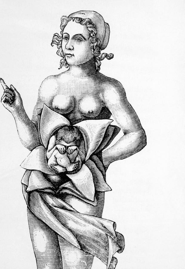 Fetus Photograph - Pregnant Woman With Child In Normal by Everett