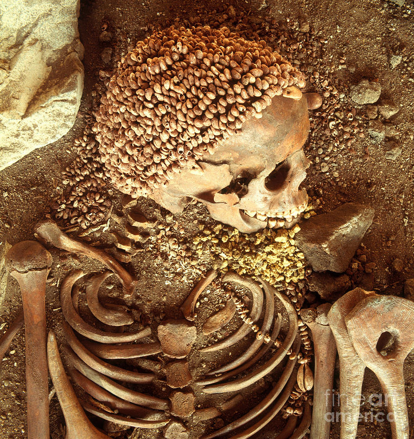 Prehistory Skeletal Remains Photograph by Tomsich