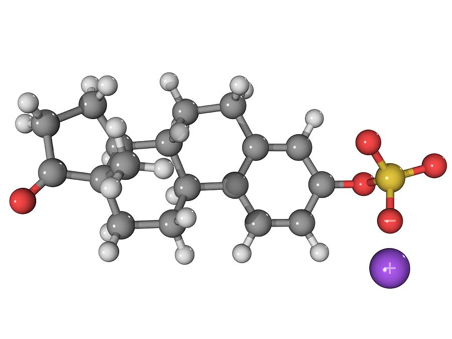 Molecular Photograph - Premarin Hrt Drug Molecule by Laguna Design