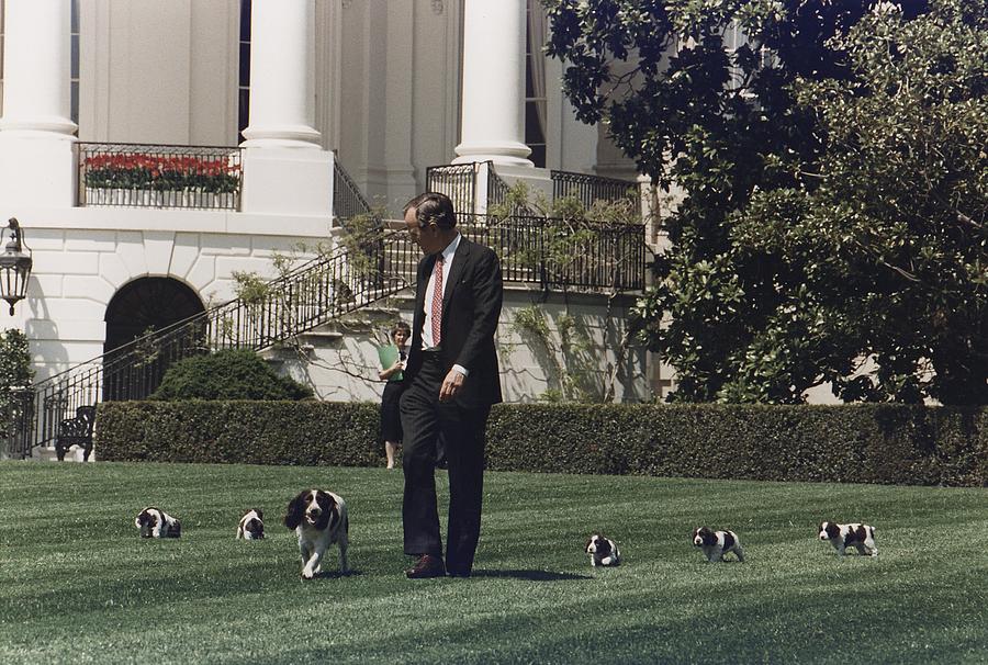 President George H.w. Bush 41 Walks Photograph by Everett - Fine Art ...