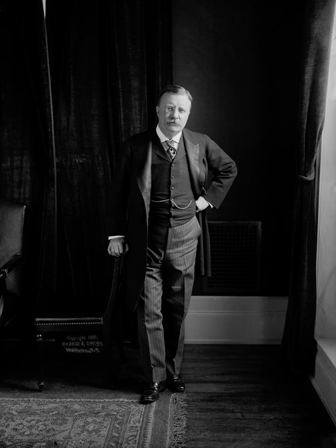 Portrait Photograph - President Theodore Roosevelt - Portrait by International  Images