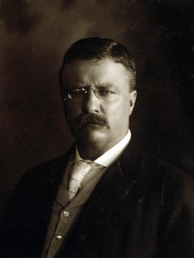 President Theodore Roosevelt, Shortly Photograph by Everett - Fine Art ...