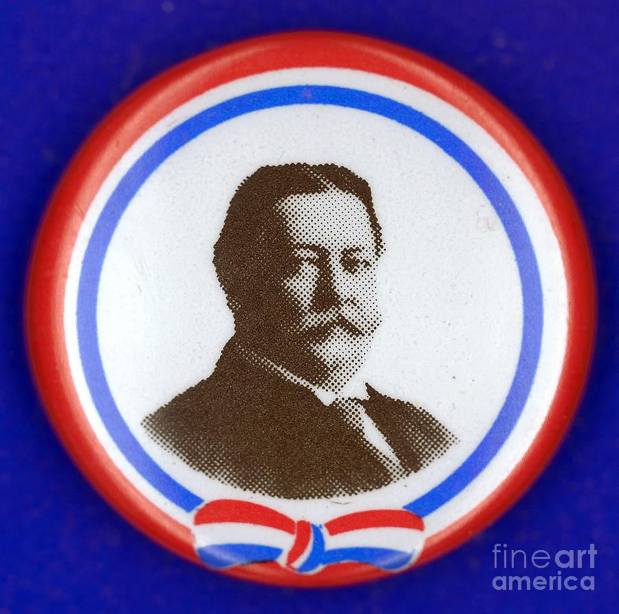 Presidential Campaign:1912 Photograph by Granger