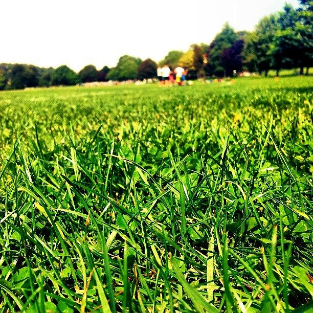 Preston Park. Great Samsung Galaxy S II Photograph by Londoner Slavik