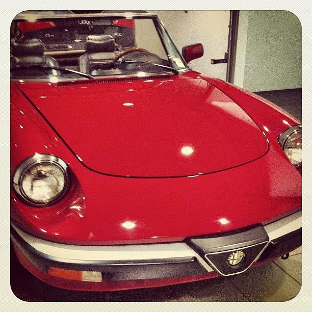Pretty Alfa Spider For Sale At My Vw Photograph by Benjy Lipsman