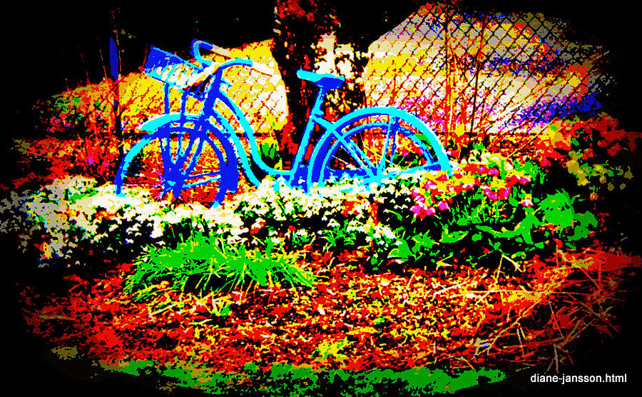 Pretty Bicycle Photograph by Diane montana Jansson