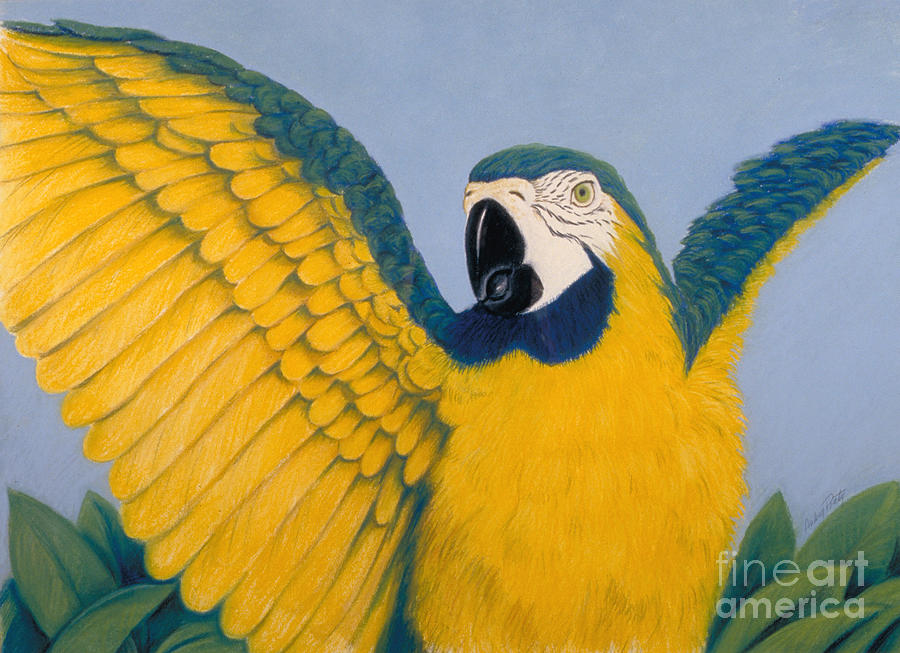 Pretty Bird Pastel by Audrey Peaty