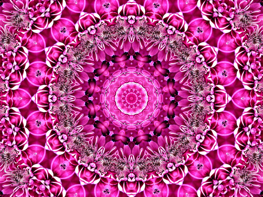 Pretty in Pink Floral 1 Digital Art by Rhonda Barrett