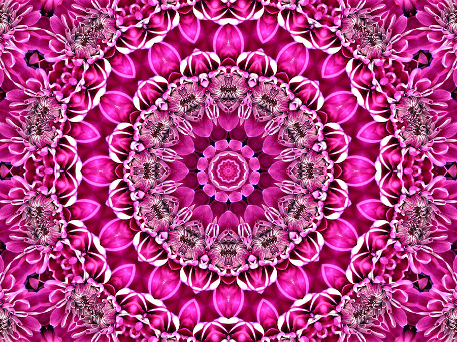 Pretty in Pink Floral 2 Digital Art by Rhonda Barrett