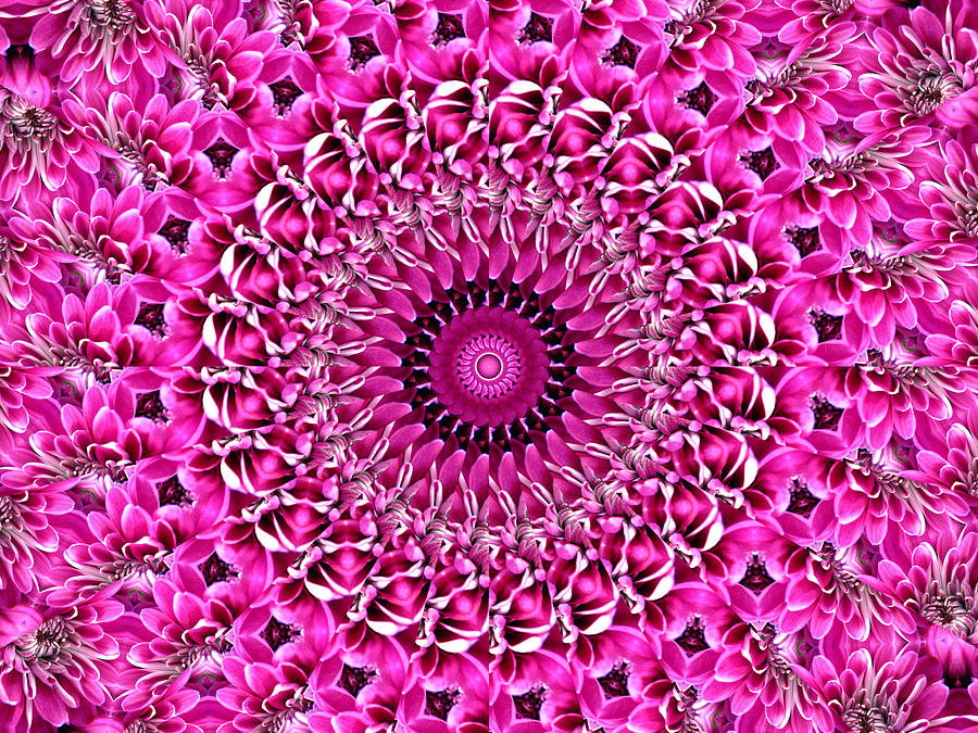Pretty in Pink Floral 3 Digital Art by Rhonda Barrett