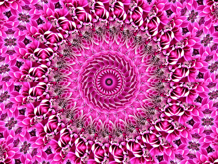 Pretty in Pink Floral 4 Digital Art by Rhonda Barrett