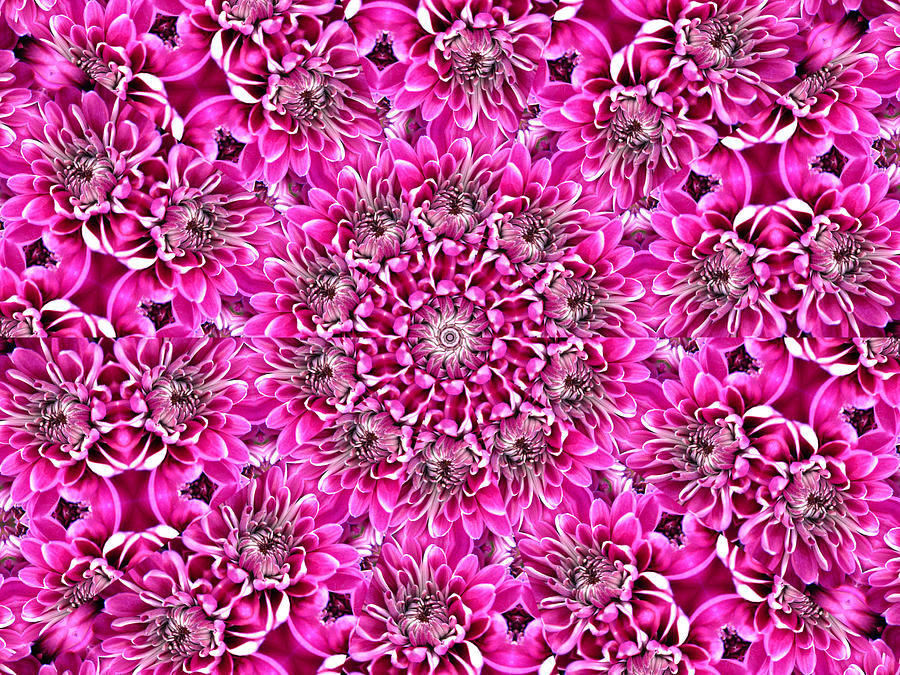 Pretty in Pink Floral 5 Digital Art by Rhonda Barrett