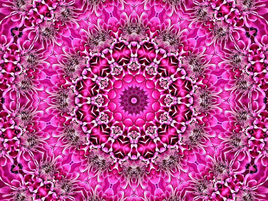 Pretty in Pink Floral 6 Digital Art by Rhonda Barrett