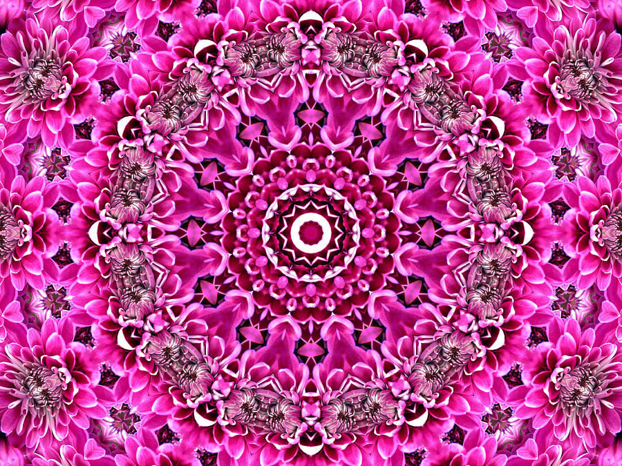 Pretty in Pink Floral 7 Digital Art by Rhonda Barrett