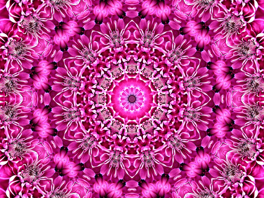 Pretty in Pink Floral 8 Digital Art by Rhonda Barrett