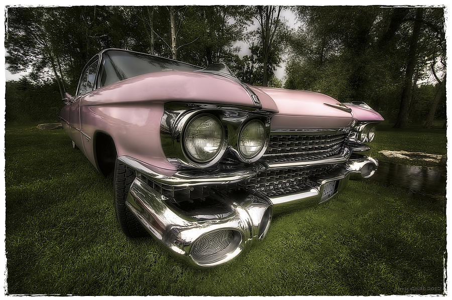 Pretty In Pink Photograph by Jerry Golab